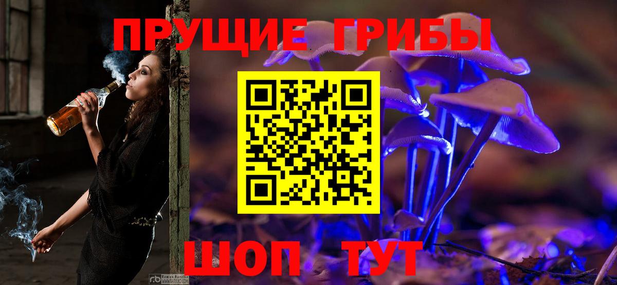 купить  сайты  Псилоцибиновые грибы Psilocybine cubensis  Вход с VPN  Будённовск 