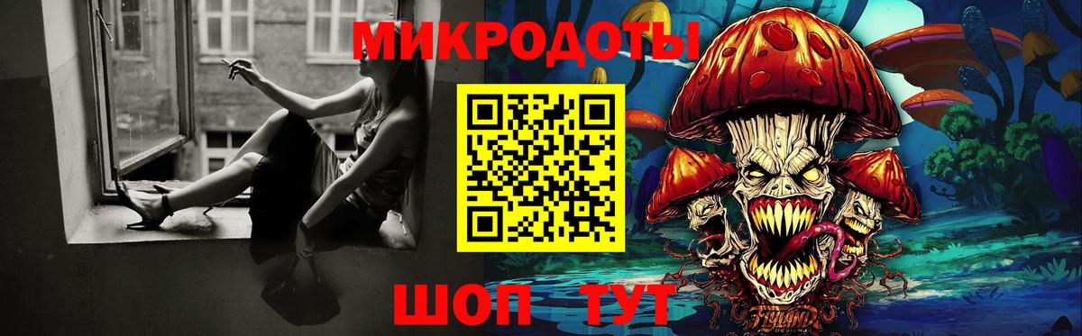 Псилоцибиновые грибы Psilocybine cubensis Будённовск