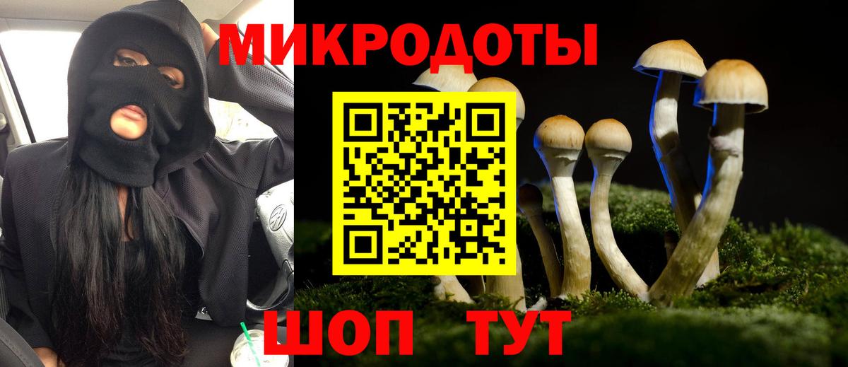 LSD-25 Будённовск